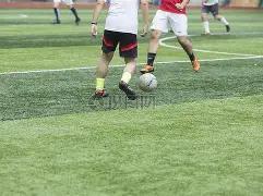 平博体育,产品,平博体育官网,平博体育官网,PINBO,Sports,足球直播,篮球赛事,体育高清,NBA直播